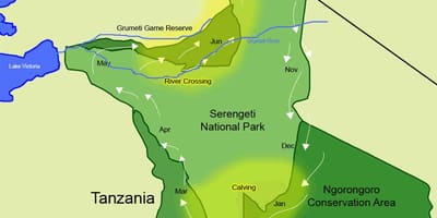 地図のタンザニア移動 
