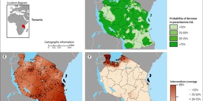 地図のタンザニアのマラリア 
